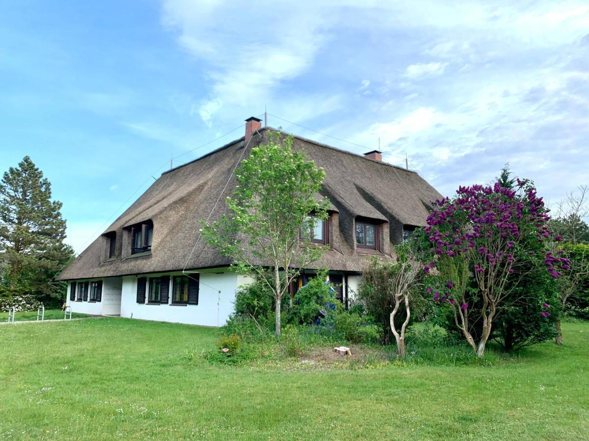 Ferienwohnung "Strandschnecke" Im Haus Hallig Oland Sankt Peter-Ording Exterior foto